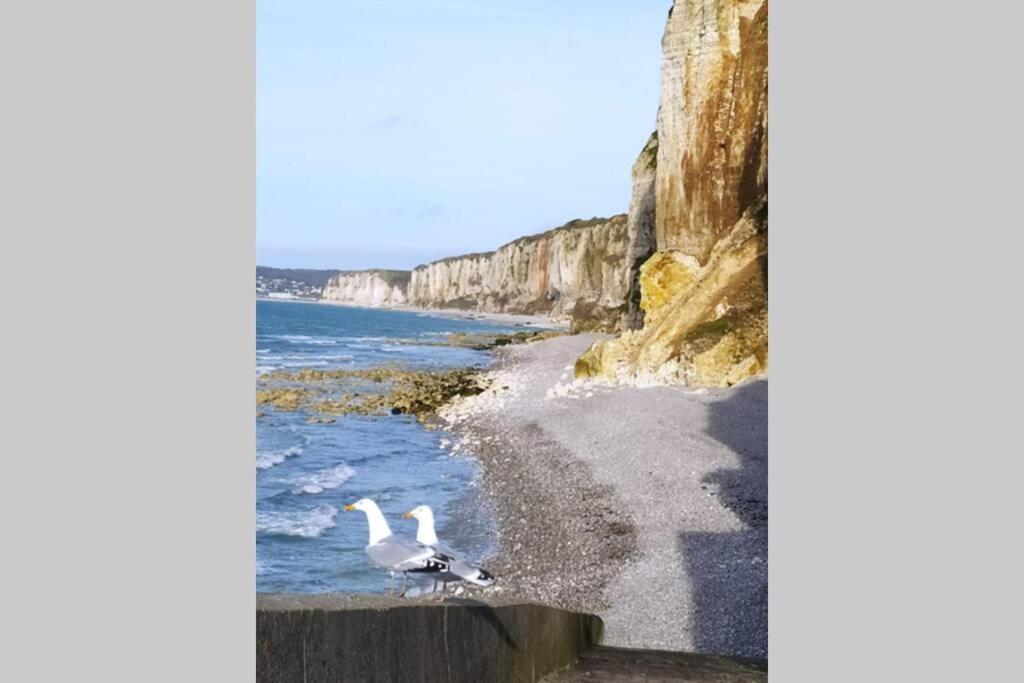 Le Nid Colas Cour Au Sud Velos A Dispo Fécamp Exterior foto